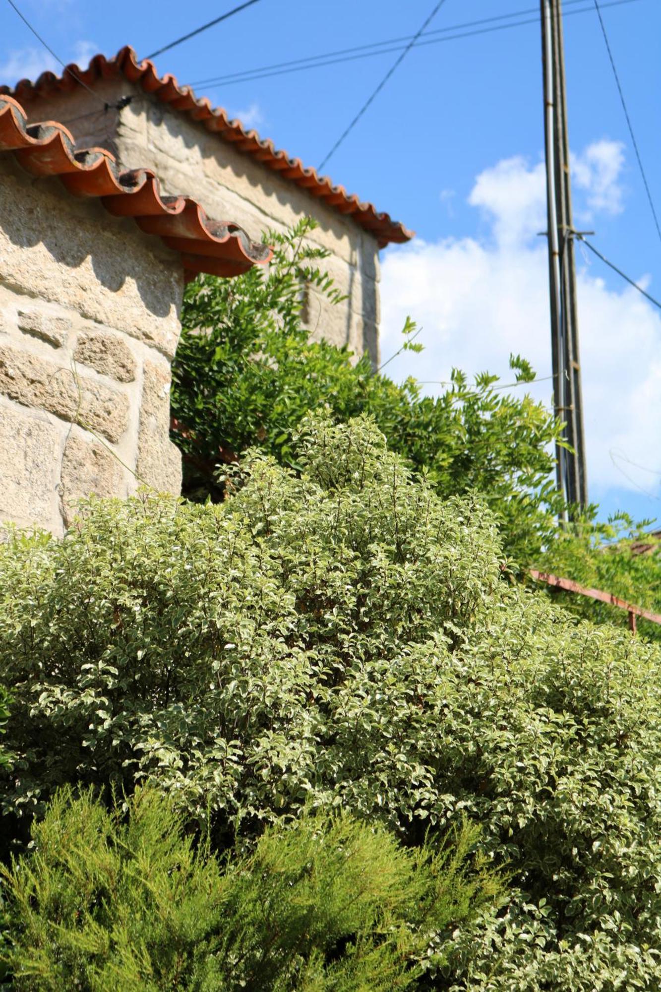 Casa Da Eira Villa Marco de Canavezes Exterior foto
